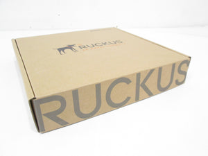 Ruckus 976-R500-US00